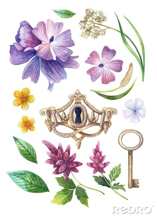Poster  Plantes de jardin mystérieux avec une clé et un cadenas