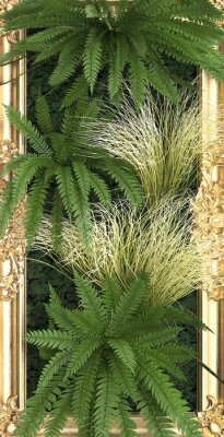 Poster  Plantes de la jungle dans un cadre doré