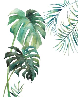Plantes de la jungle peintes à l'aquarelle