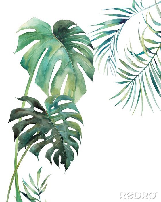 Poster  Plantes de la jungle peintes à l'aquarelle
