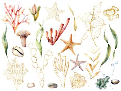 Plantes de récif corallien dans un style bohème