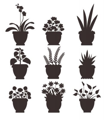 Poster  Plantes en pot monochromes