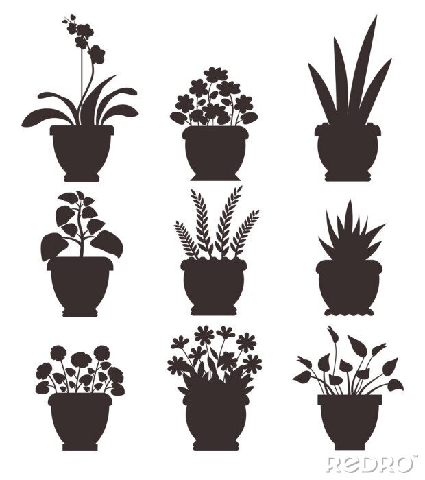 Poster  Plantes en pot monochromes