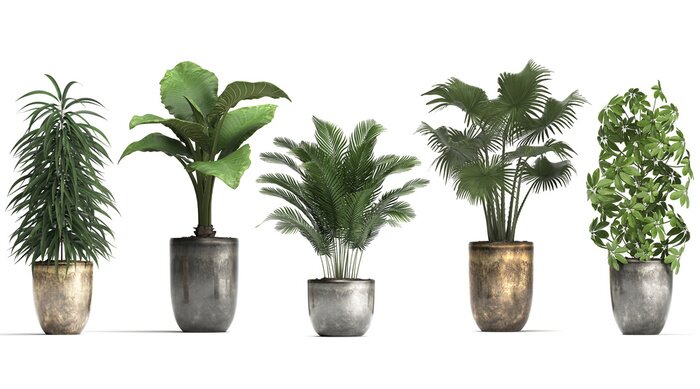 Poster  Plantes en pot vertes