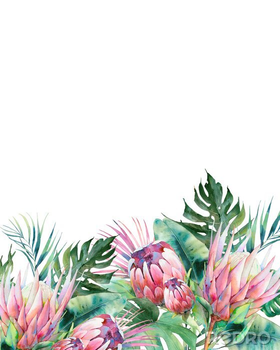 Poster  Plantes et fleurs peintes à l'aquarelle