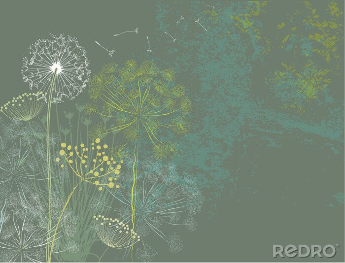 Poster  Plantes et pissenlits sur fond gris