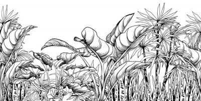 Poster  Plantes exotiques aux couleurs noir et blanc