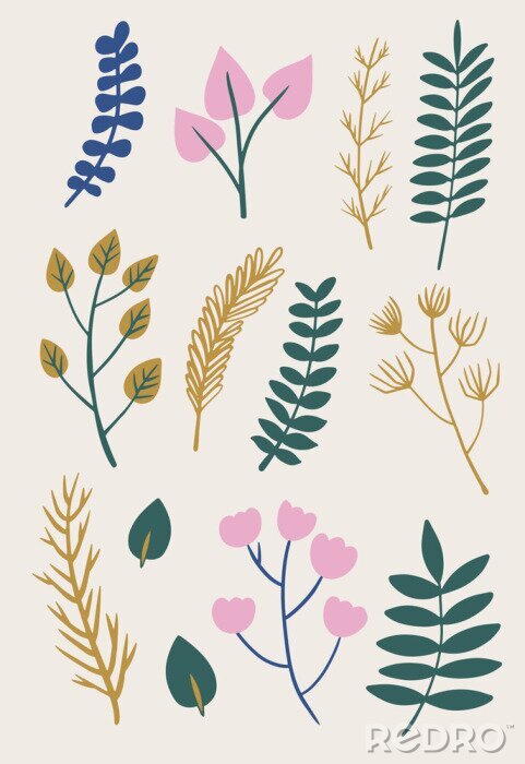 Poster  Plantes minimalistes de formes et de couleurs différentes