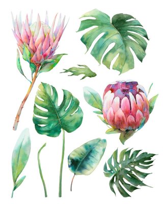 Poster  Plantes tropicales aux feuilles de formes variées
