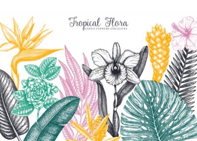 Poster  Plantes tropicales en couleurs contrastées