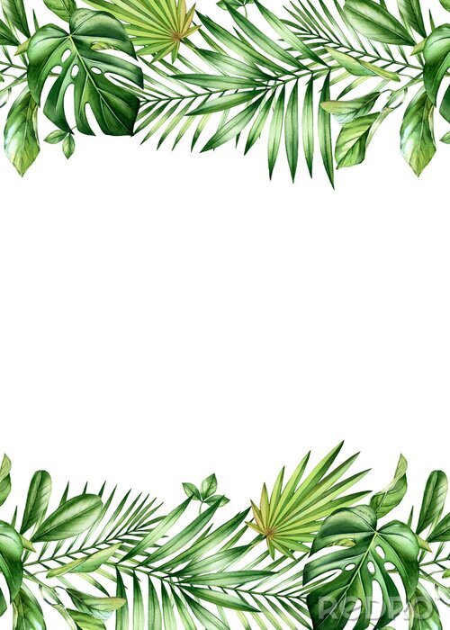 Poster  Plantes tropicales en deux rangées