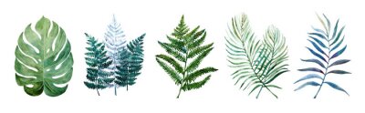 Plantes tropicales sous forme de feuilles