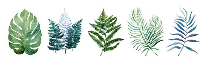 Poster  Plantes tropicales sous forme de feuilles