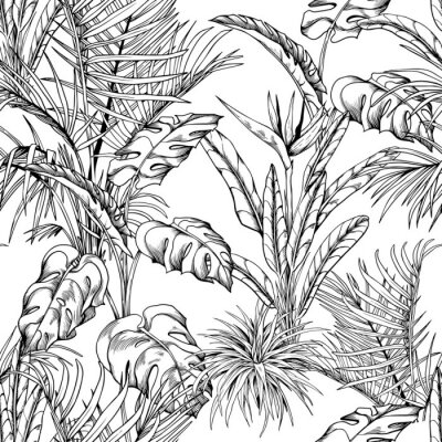 Poster  Plantes tropicales sur fond blanc