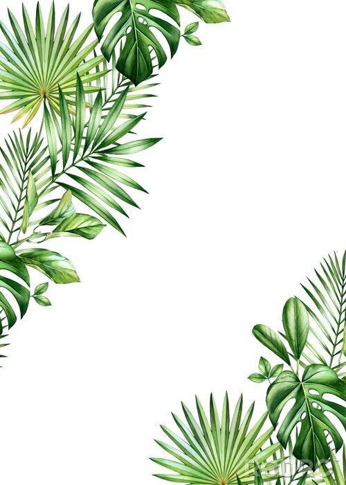 Poster  Plantes vertes placées aux coins de l'illustration