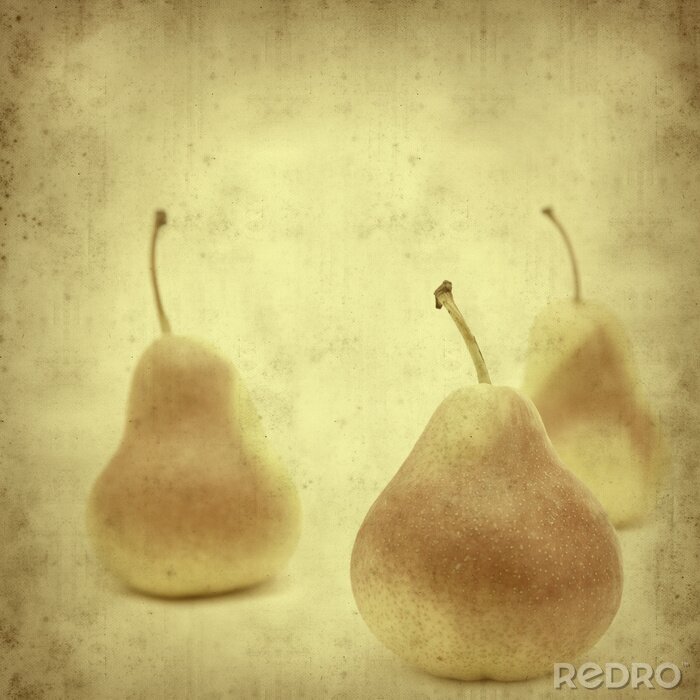 Poster  Poires de style rétro