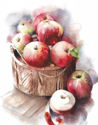 Poster  Pommes fruits rouges dans une illustration de panier aquarelle panier isolé sur fond blanc