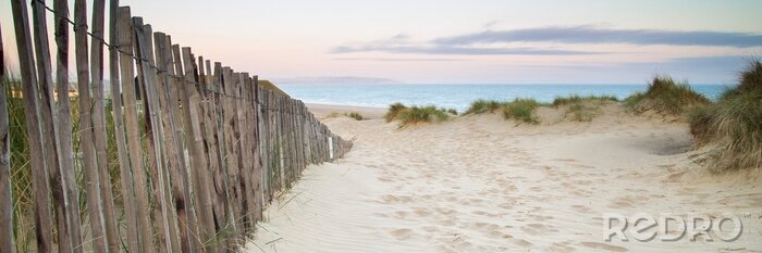 Poster  Pont en bois près de dunes
