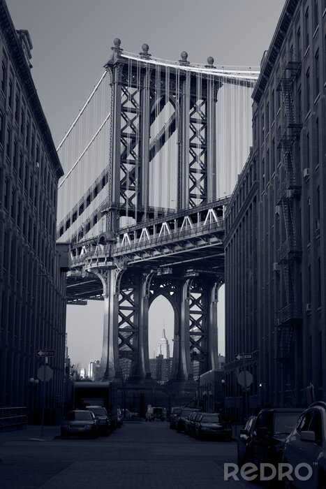 Poster  Pont noir et blanc à Manhattan