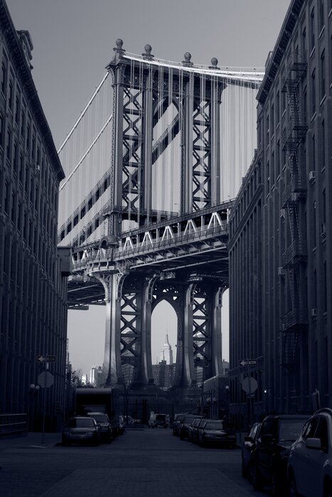 Poster  Pont noir et blanc à Manhattan