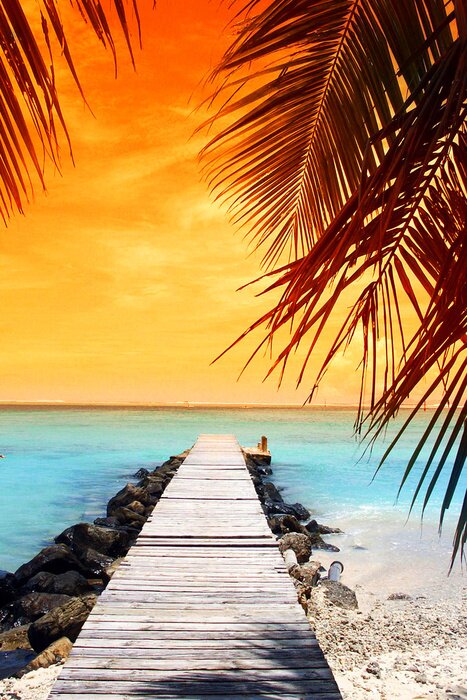 Poster  Pont sur l'eau