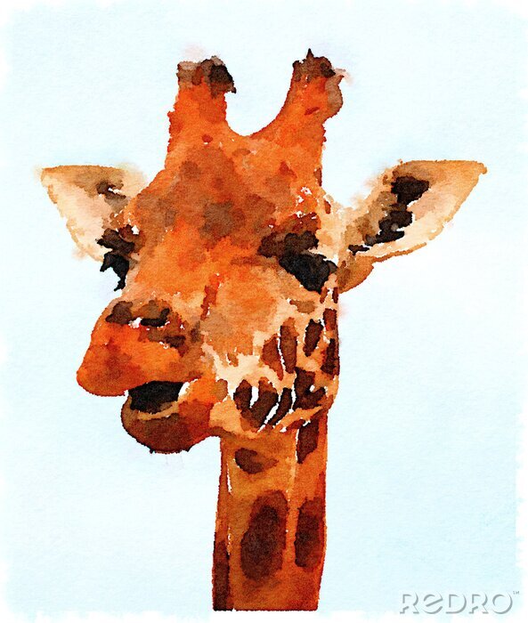 Poster  Portrait à l'aquarelle avec une tête de girafe