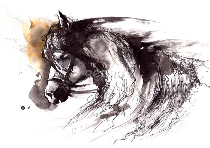 Poster  Portrait d'un cheval dans le style d'un dessin esquissé