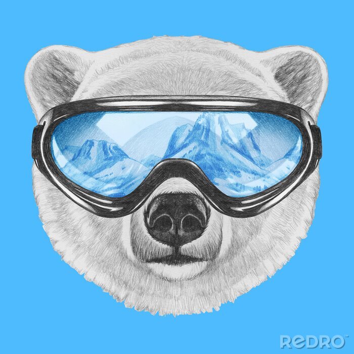 Poster  Portrait d'ours polaire avec des lunettes de ski. Illustration tirée à la main.