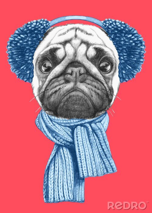 Poster  Portrait de chien de roquet avec un foulard et des coquilles. Hand drawn illustration.