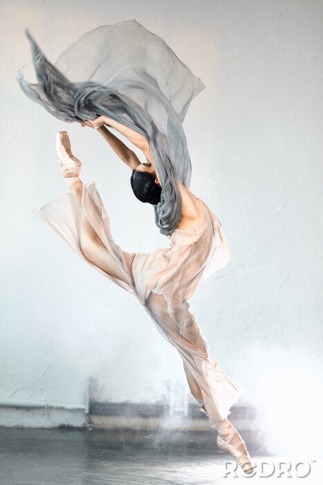 Poster  Portrait de danse de ballet d'une ballerine en mouvement