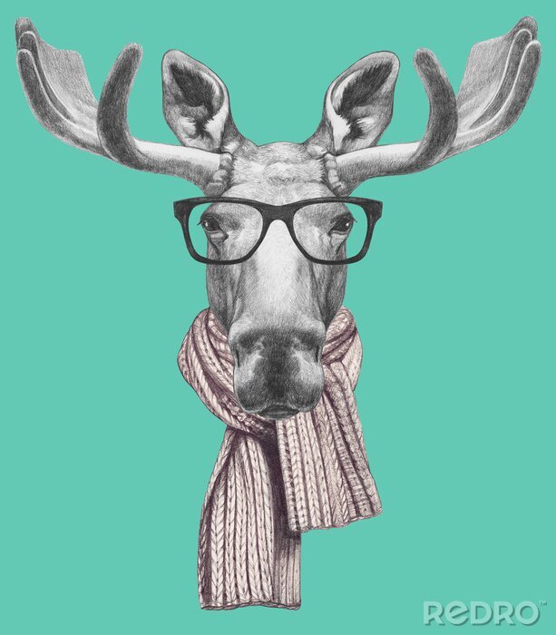 Poster  Portrait de l'orignal avec des lunettes et un foulard. Illustration tirée à la main.