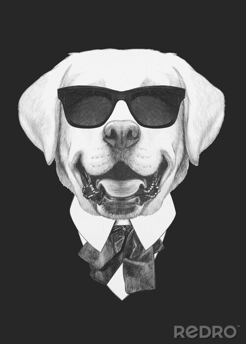 Poster  Portrait de Labrador en costume. Illustration tirée à la main.