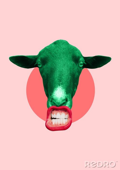 Poster  Portrait magnifique d'un mouton avec de superbes lèvres