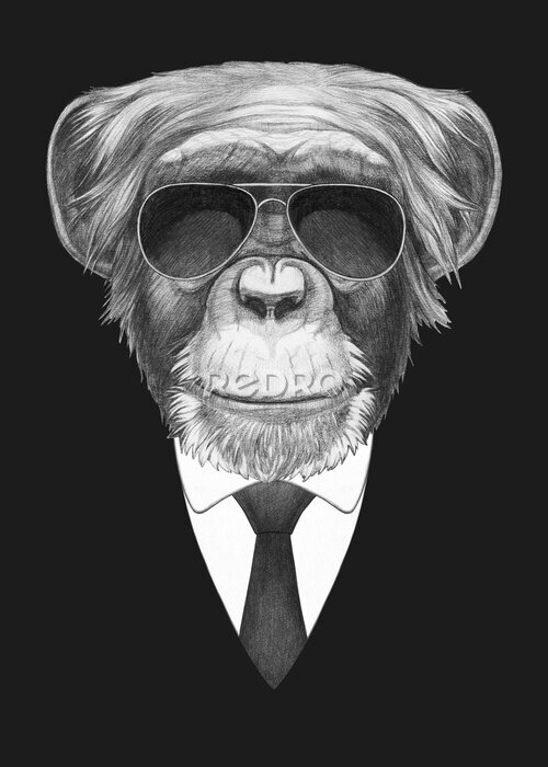 Poster  Portrait of Monkey in suit and sunglasses. Bodyguard. Hand-drawn illustration. 