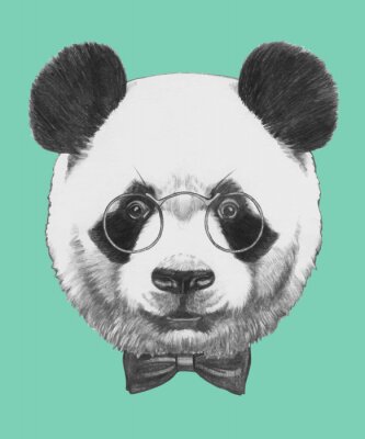 Portrait panda hipster