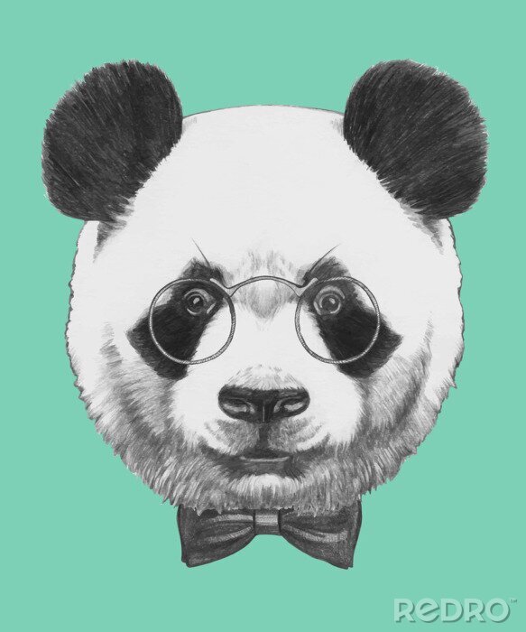 Poster  Portrait panda hipster