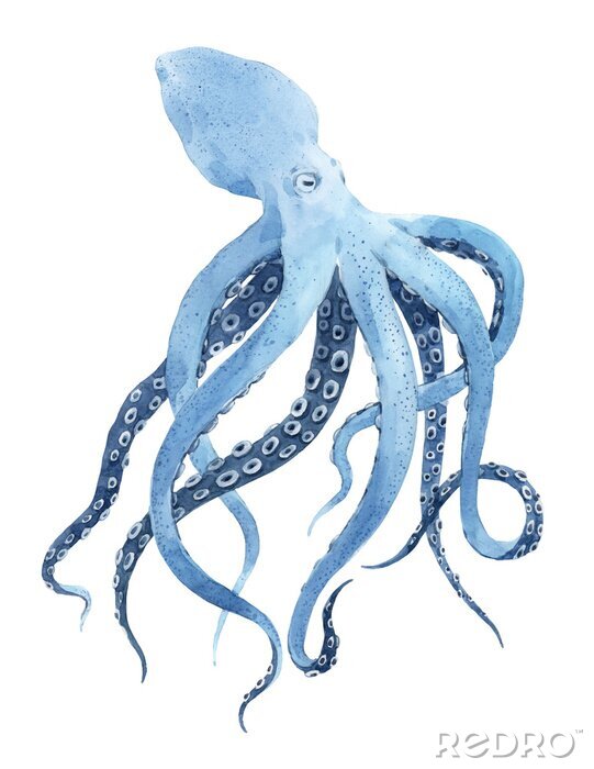 Poster  Poulpe bleu avec de longs tentacules