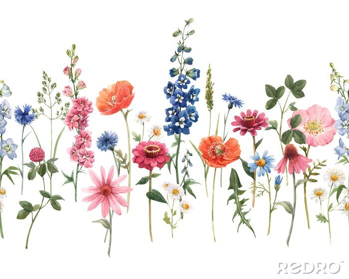 Poster  Prairie avec des fleurs roses
