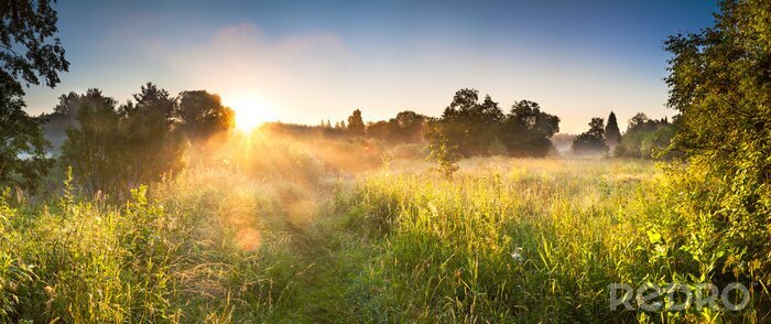 Poster  Prairie forestière et lever de soleil