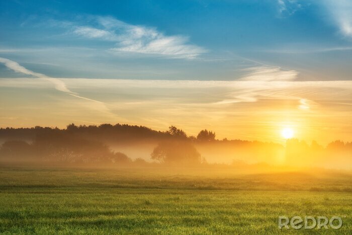 Poster  Prairie verte au lever du soleil