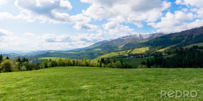 Poster  Prairie verte le matin