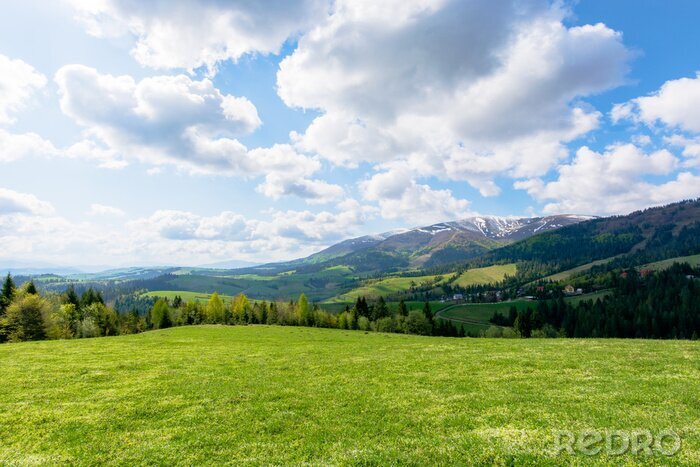 Poster  Prairie verte sur une colline
