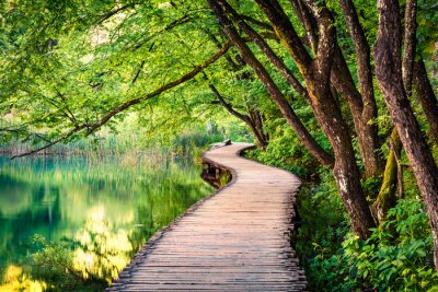 Promenade en bois au bord d'un lac dans un parc croate