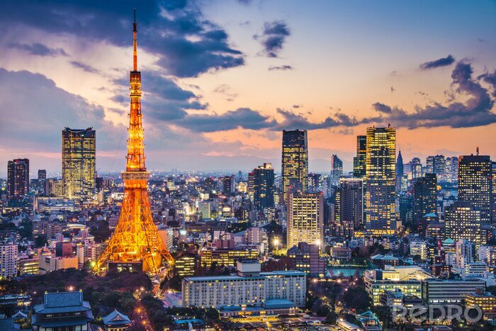Poster  Quartier financier avec la tour de Tokyo la nuit