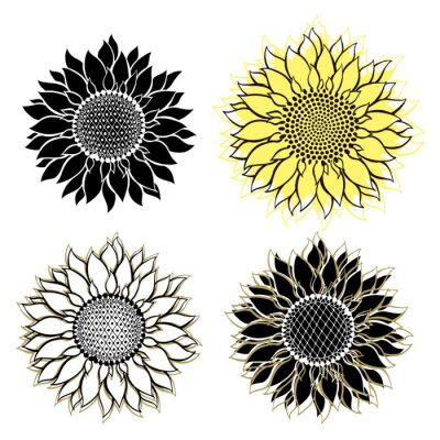 Quatre tournesols dans l'illustration
