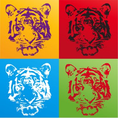 Poster  Quatre visages d'un tigre