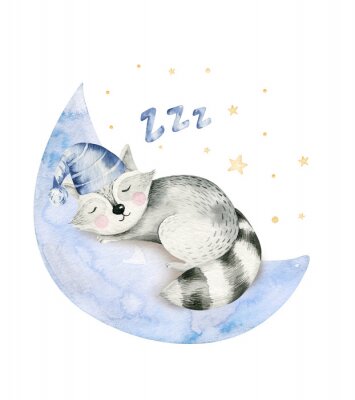 Poster  Raton laveur endormi sur la lune