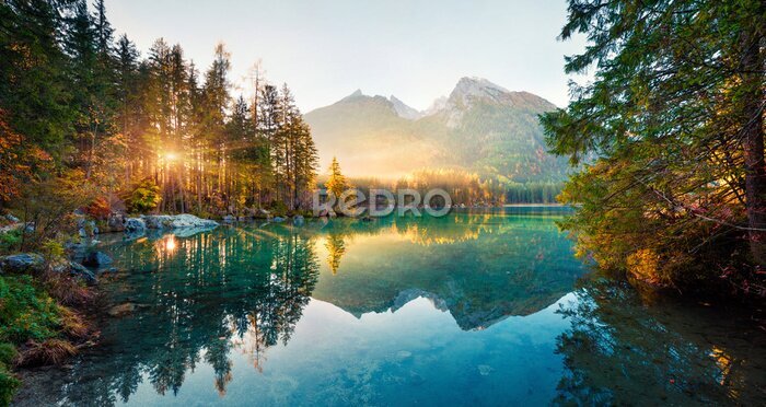 Poster  Rayons de soleil des montagnes perçant la forêt
