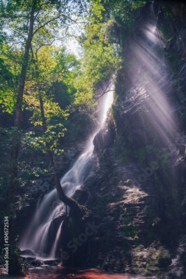 Poster  Rayons de soleil sur une cascade en forêt