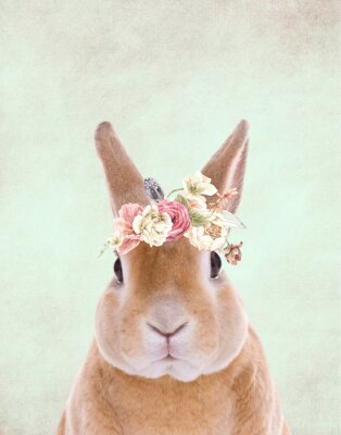 Poster  real Bunny with floral elements